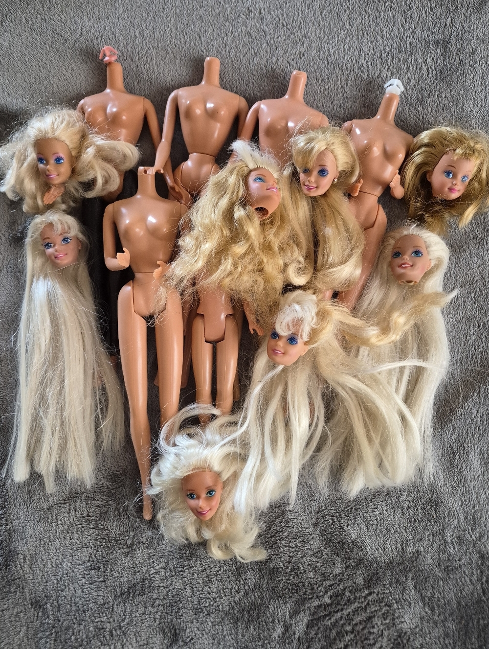TLC Barbie Bodies & Heads
